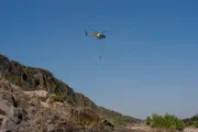 Per Helikopter wird ein Krokodil zur Untersuchung ins Labor gebracht. Per Helikopter wird ein Krokodil zur Untersuchung ins Labor gebracht.