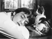 Chlodwig Haslebner (Peter).