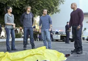 M&uuml;ssen einen neuen Fall l&ouml;sen: Callen (Chris O'Donnell, 2.v.r.), Sam (LL Cool J, r.), Kensi (Daniela Ruah, l.) und Deeks (Eric Christian Olsen, 2.v.r.) ...