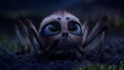 Eine kleine Spinne hat einen ganz gro&szlig;en Traum: Sie will hoch hinaus - bis zum Mond!