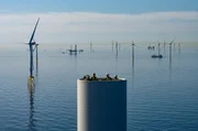Aufbau des Offshore-Windparks Borkum Riffgrund 2. Aufbau des Offshore-Windparks Borkum Riffgrund 2.