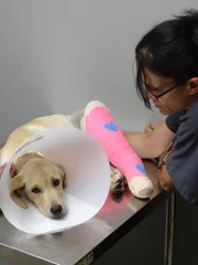 Shelly examines Reya during a follow up visit.