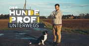 Logo zu "Der Hundeprofi unterwegs"