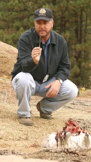 Auf seiner Suche nach den sterblichen &Uuml;berresten eines Opfers wird Gil Grissom (William Petersen) schnell f&uuml;ndig: offenbar wurde das Opfer bei lebendigem Leib bis zu den Schultern eingegraben und wilde Tiere erledigten dann den Rest...