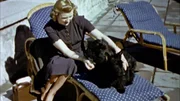 Nach dem Selbstmord von Hitlers Nichte Geli Raubal wird die 19-j&auml;hrige Eva Braun seine Gef&auml;hrtin.