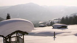 Eine am&uuml;sante Winterreise quer durch &Ouml;sterreich, von Mariazell bis St. Anton am Arlberg. Vom Geheimtipp &uuml;ber Traditionsreiches, vom einst Angesagten bis zum heute Gefragten. Etwas gilt f&uuml;r alle Regionen, durch die sich dieser Film bewegt: der gro&szlig;artige Aufschwung kam innerhalb der vergangenen hundert Jahre mit den ersten Seilbahnen und Liftanlagen. Aber auch abseits der Pisten tummeln sich bemerkenswerte Figuren, wie der steirische Barfu&szlig;wanderer, der auch im Tiefschnee ohne Schuhwerk unterwegs ist, oder der Tiroler Eismann, der seine Tage im Inneren einer Gletscherh&ouml;hle verbringt. Ausgezeichnetes historisches Archivmaterial dokumentiert diesen "alpinen Wirtschaftsboom" und Zeitzeugen erz&auml;hlen, wie es damals war, als die Seilbahn auf den Berg gekommen ist.
