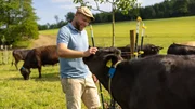 Georg Mayerhofer baut den Elektro-Weidezaun für seine Wagyu-Rinder auf.