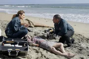 Stella Bonasera (Melina Kanakaredes) und Dr. Sheldon Hawkes (Hill Harper) untersuchen die Frauenleiche, die zusammen mit einem Haifisch angeschwemmt wurde. Stella Bonasera (Melina Kanakaredes) und Dr. Sheldon Hawkes (Hill Harper) untersuchen die Frauenleiche, die zusammen mit einem Haifisch angeschwemmt wurde.