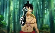 Luffy