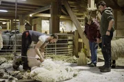 Die Schafzüchterin Helene Wörter und ihr Sohn Matthias (r.) arbeiten dem Schafscherer Robbie Jones zu, während ServusTV‘s „Heimatleuchten – Rund um die Kitzbüheler Alpen“ in St. Ulrich am Pillersee, Tirol, Österreich am 21. März, 2024. Die Schafzüchterin Helene Wörter und ihr Sohn Matthias (r.) arbeiten dem Schafscherer Robbie Jones zu, während ServusTV‘s „Heimatleuchten – Rund um die Kitzbüheler Alpen“ in St. Ulrich am Pillersee, Tirol, Österreich am 21. März, 2024.
