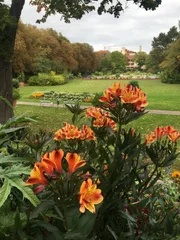 Der Kurpark in Bad Windsheim. Der Kurpark in Bad Windsheim.