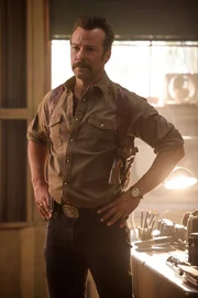 Special Agent Mike Franks (Kyle Schmid)