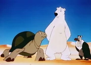 Ein nobler Passagier: Der K&ouml;nig der Schildkr&ouml;ten ist zu Gast auf Noahs Insel.