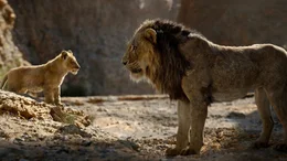 Simba (l.); Scar (r.)