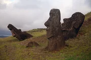 Für den Bau der bekannten Moai-Statuen musste die Insel zu großen Teilen entwaldet werden. Für den Bau der bekannten Moai-Statuen musste die Insel zu großen Teilen entwaldet werden.