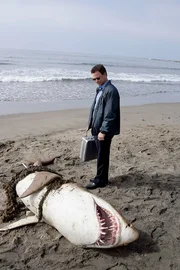 Gary Sinise (Det. Mac Taylor). Gary Sinise (Det. Mac Taylor).