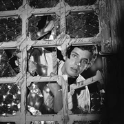 Wie jeder Junge seines Alters träumt Jim Hawkins (Michael Ande) von Seefahrt und Abenteuern. Die Wahrscheinlichkeit, dass seine Träume einmal in Erfüllung gehen, ist gering. Wie jeder Junge seines Alters träumt Jim Hawkins (Michael Ande) von Seefahrt und Abenteuern. Die Wahrscheinlichkeit, dass seine Träume einmal in Erfüllung gehen, ist gering.