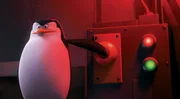 Die vier Pinguine Skipper (Bild), Kowalski, Rico und Private sind das perfekte Team und haben schon zahlreiche Missionen erfolgreich abgeschlossen. Nun m&uuml;ssen sie den B&ouml;sewicht Dr. Octavius Brine unsch&auml;dlich machen, der mit den Pinguinen noch eine Rechnung offen hat ...