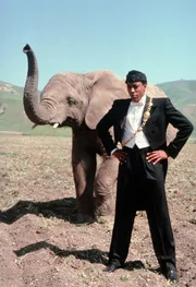 Semmi (Arsenio Hall)