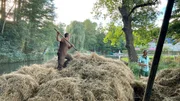Freunde von Sebastian packen mit ihm einen Heukahn f&uuml;r das Dorffest.