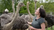 Betriebsleiterin Kerstin Schnabel zusammen mit den Straußen im Gehege. Betriebsleiterin Kerstin Schnabel zusammen mit den Straußen im Gehege.
