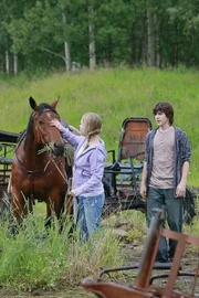 Mallory (Jessica Amlee) und Badger (Jack Knight) versorgen die Tiere auf dem Hof von Sarah Craven.