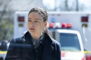 Special Agent Kristin Gaines (Alexa Davalos)
