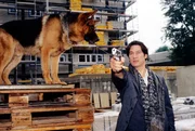 Kommissar Moser (Tobias Moretti, r.) und Rex jagen einen Killer ...