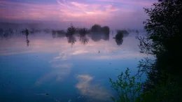 Sonnenaufgang im Toten Moor, einem der gro&szlig;en Moorgebiete im Norden des Steinhuder Meeres.