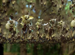 Das Phantasiereich Terabithia ist voll von magischen und seltsamen Kreaturen.