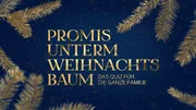 Logo zu "Promis unterm Weihnachtsbaum - Das Quiz f&uuml;r die ganze Familie".