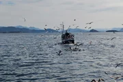 Fischerboot vor der K&uuml;ste von der Insel Godoya.