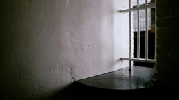 Mehr als 21 Jahre hat er im Todesstrakt verbracht, verurteilt am Mord einer jungen Frau. Immer wieder hat Nick Yarris seine Unschuld beteuert, doch irgendwann verl&auml;sst ihn der letzte Lebensmut. Und so bittet er den Gouverneur in einem Brief, sein Todesurteil in den n&auml;chsten 60 Tagen zu vollstrecken. Dass diese ungew&ouml;hnliche Bitte sein Leben ver&auml;ndern wird, h&auml;tte Yarris nie f&uuml;r m&ouml;glich gehalten. In "The Fear of 13" erz&auml;hlt Nick Yarris seine Lebensgeschichte - selbstkritisch, reflektiert und absolut mitrei&szlig;end.