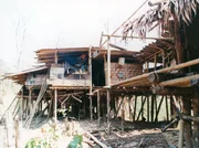 Das Bambuscamp im Wald ist Ausgangspunkt für die Arbeit mit den Elefanten. Das Bambuscamp im Wald ist Ausgangspunkt für die Arbeit mit den Elefanten.