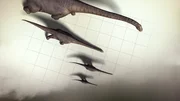 CGI: Looking down on scientific grid to see a comparison of 4 giant sauropods. CGI: Looking down on scientific grid to see a comparison of 4 giant sauropods.