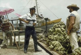 Im Kampf gegen die Mafia: Banana Joe (Bud Spencer, re.)