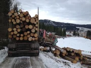 OVERHALLA, NORWAY - A timber truck has slid off the road whilst the driver was loading timber. OVERHALLA, NORWAY - A timber truck has slid off the road whilst the driver was loading timber.