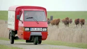 Ein knallrotes Auto und alte Brötchen vom Inselbäcker haben sich als Mittel bewährt, um die Kühe auf den weiten Wiesen des Ostlands anzulocken. Ein knallrotes Auto und alte Brötchen vom Inselbäcker haben sich als Mittel bewährt, um die Kühe auf den weiten Wiesen des Ostlands anzulocken.