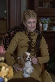 Ada Brook (Cynthia Nixon)