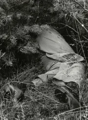 Versteckt unter dichtem Gebüsch entdecken Pilzsammler die Leiche des jungen Mannes. Wer ist das Opfer? Versteckt unter dichtem Gebüsch entdecken Pilzsammler die Leiche des jungen Mannes. Wer ist das Opfer?