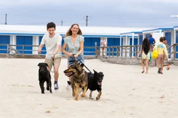 Dem "zuf&auml;lligen" Kennenlernen im Tierheim folgt schon bald das erste Date, bei dem Maddie (Jennifer Lawrence) und Percy (Andrew Barth Feldman) am Strand mit sichtbarem Spa&szlig; die Hunde ausf&uuml;hren.