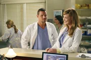 Haben Angst, dass sie bald ohne Job dastehen: Izzie (Katherine Heigl, r.) und Alex (Justin Chambers, l.) ... Haben Angst, dass sie bald ohne Job dastehen: Izzie (Katherine Heigl, r.) und Alex (Justin Chambers, l.) ...