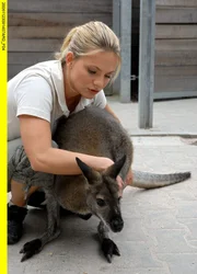 Tierpflegerin Anett k&uuml;mmert sich um das kranke K&auml;nguru.