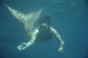 Cleo (Phoebe Tonkin) schwimmt als Meerjungfrau im offenen Meer. Sie ist auf der Suche nach dem Fischer, der illegal die Schildkr&ouml;ten f&auml;ngt.