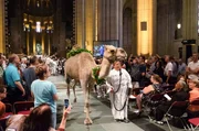 Tierpfleger mit einem Kamel beim Segnen der Tiere am St. Francis Day in der St. John the Divine Cathedral, New York, USA.