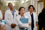 Haben einen harten Arbeitstag vor sich: Jackson (Jesse Williams, l.) und Cristina (Sandra Oh, M.) und Callie (Sara Ramirez, r.) ... Haben einen harten Arbeitstag vor sich: Jackson (Jesse Williams, l.) und Cristina (Sandra Oh, M.) und Callie (Sara Ramirez, r.) ...