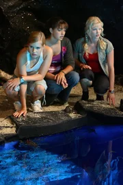 Cleo (Phoebe Tonkin, m.), Emma (Claire Holt, l.) und Rikki (Cariba Heine, r.) entdecken auf Mako Island eine Höhle mit einem See, der unterirdisch mit dem offenen Meer verbunden ist. Cleo (Phoebe Tonkin, m.), Emma (Claire Holt, l.) und Rikki (Cariba Heine, r.) entdecken auf Mako Island eine Höhle mit einem See, der unterirdisch mit dem offenen Meer verbunden ist.