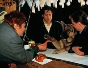 Kommissar Moser (Tobias Moretti, M.) und Christian B&ouml;ck (Heinz Weixelbraun, r.) wissen, dass die r&auml;tselhaften Vergiftungen von Getr&auml;nkedosen herr&uuml;hren. Die Verk&auml;uferin (Gabriela Schmoll, l.) im W&uuml;rstl-Stand am Eislaufplatz ist entz&uuml;ckt von Rex und erz&auml;hlt den beiden, wo sie ihre Dosen aufbewahrt.