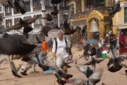 Frank walking through a flock of pigeons.