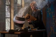 Frau Galle (Kacey Ainsworth) hat nichts Gutes im Sinn! Hat sie etwas mit dem verwandelten Frosch zu tun?